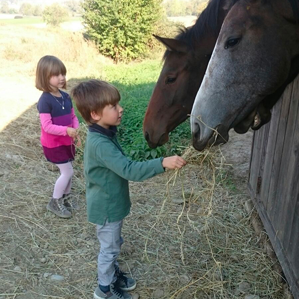 I primi approcci - Pony Club Il Boardo